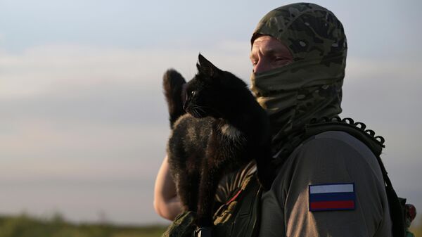 Russian soldier with cat friend in special military operation zone - Sputnik India