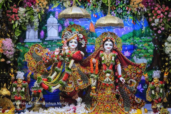 Scores of devotees gathered at Vrindavan Chandrodaya Mandir in Uttar Pradesh state to celebrate Sri Krishna Janmashtami. Priests worship Lord Sri Krishna and Goddess Radha&#x27;s idol. - Sputnik India