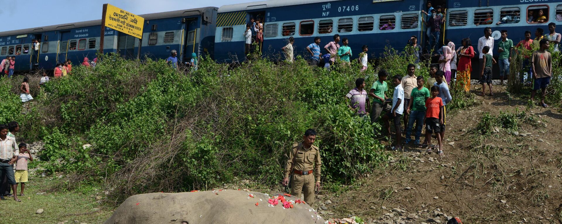 Indian villagers and forestry workers gather around the carcass of an elephant as it lies near railway tracks after being struck by a passenger train at Kiranchandra Tea Garden, some 30kms, from Siliguri on May 10, 2017. The elephant was hit by a train while crossing a track which runs through an area known the 'elephant corridor'. - Sputnik भारत, 1920, 07.09.2023
