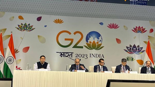 G-20 pre-summit press briefing - Sputnik भारत