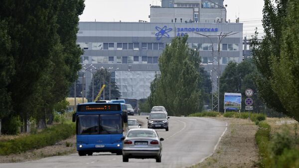 IAEA Delegation Visits Zaporozhye Nuclear Power Plant - Sputnik भारत
