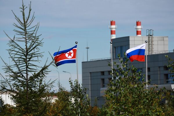 वस्तोचनी कॉस्मोड्रोम के क्षेत्र पर रूस और उत्तर कोरिया के झंडे - Sputnik भारत
