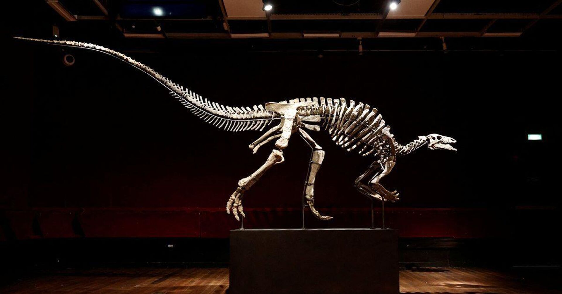 150-Year-Old Rare Dinosaur Barry's Skeleton Up for Sale at Paris Auction - Sputnik India, 1920, 19.09.2023