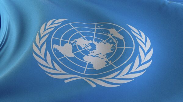 UN Flag - Sputnik भारत