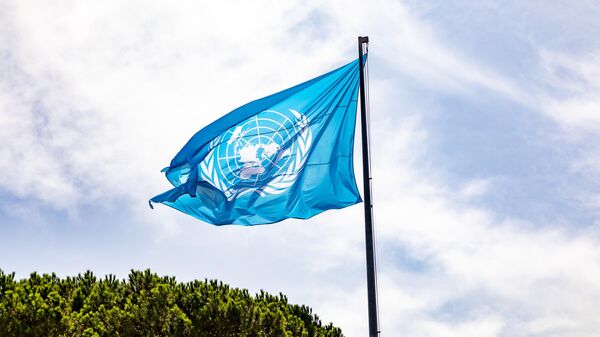 Флаг Организации Объединенных Наций в Риме, Италия - Sputnik भारत