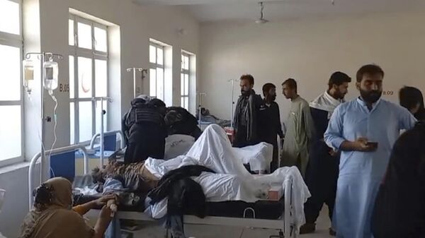 In this photo provided by District Police Office, injured victims of bomb explosion are treated at a hospital, in Mastung near Quetta, Pakistan, Friday, Sept. 29, 2023. A powerful bomb exploded at a rally celebrating the birthday of Islam's Prophet Muhammad in southwest Pakistan on Friday, killing multiple people and wounding dozens of others, police and a government official said. - Sputnik भारत