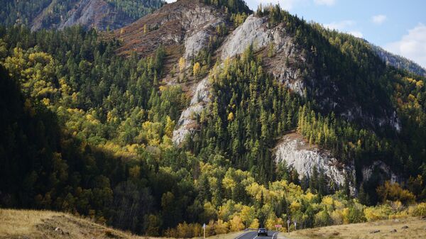  Autumn in Altai Republic - Sputnik India