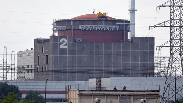 Zaporozhye nuclear power plant located near Energodar. File photo - Sputnik भारत