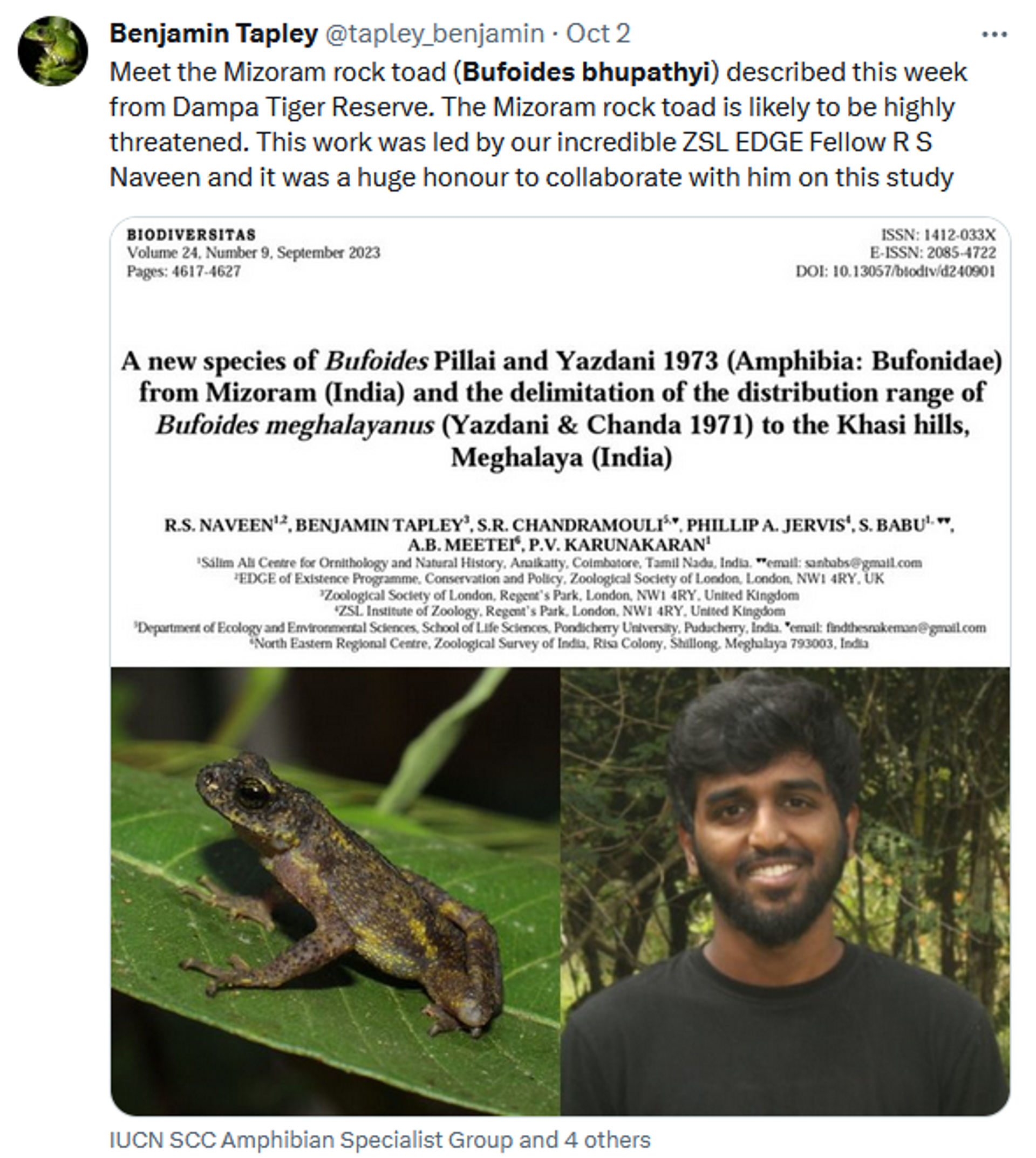 New, Rare Toad Species Discovered In Mizoram - Sputnik India, 1920, 12.10.2023