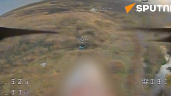 Viking special forces obliterate  Ukrainian troops - Sputnik India