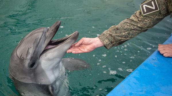 Представители Росгвардии передали запас корма в дельфинарий в Херсонской области - Sputnik भारत