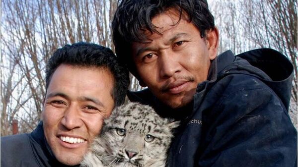 Award-winning snow leopard conservationist Khenrab Phuntsog - Sputnik India