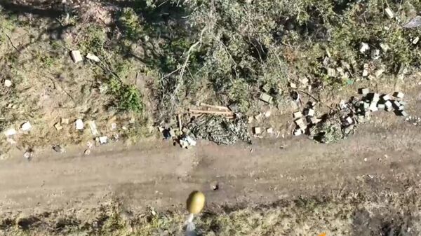 Ukrainian Infantry Demolished by Russian Drones - Sputnik भारत