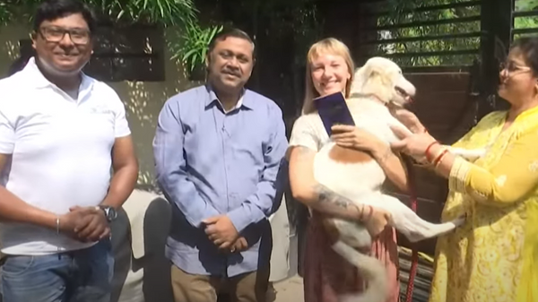 Indian Street Dog Jaya - Sputnik India