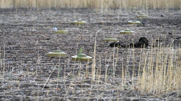 Anti-tank mines TM-62M are seen on a field located near Artemovsk. File photo - Sputnik भारत