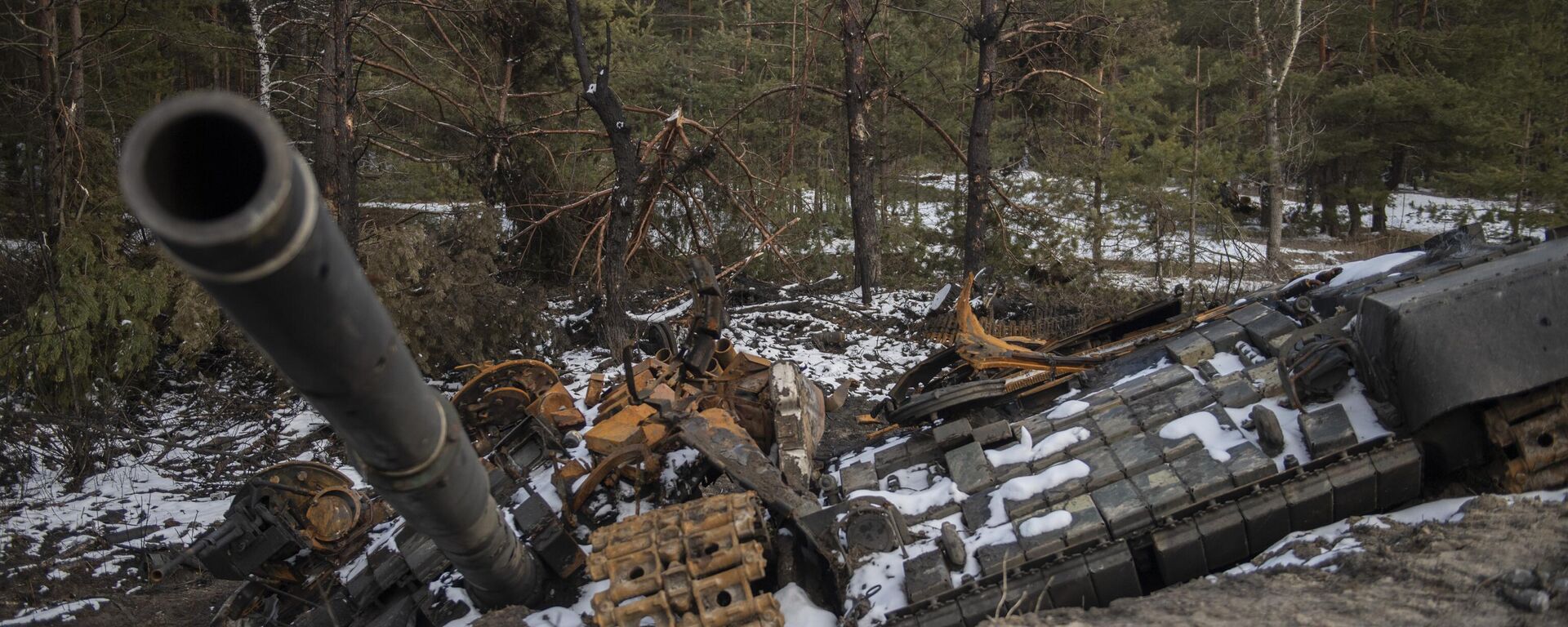 A destroyed tank of Ukrainian Armed Forces is seen outside the town of Severodonetsk, in Lugansk People's Republic. - Sputnik भारत, 1920, 06.11.2023