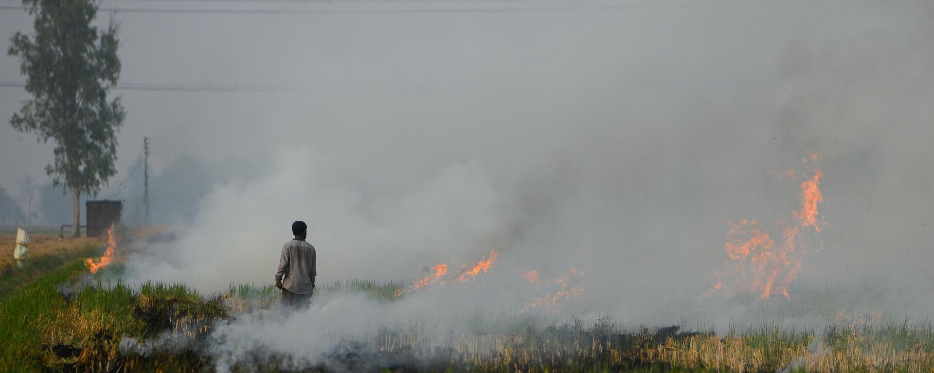 In this photo taken on October 31, 2023, a farmer burns straw stubble after a harvest in a paddy field, on the outskirts of Jalandhar.  - Sputnik भारत, 1920, 02.11.2023