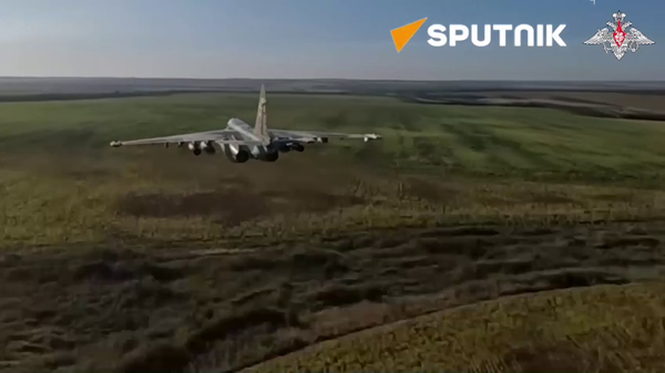 Watch Russian Su-25 Wipe Out Ukrainian Fortified Field Positions - Sputnik भारत