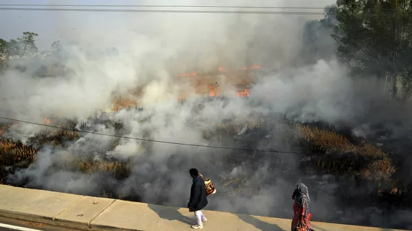 A couple walks past crop stubble set on fire by farmers on the out skirts of Jalandhar, in the northern Indian state of Punjab, Wednesday, Nov. 17, 2021. - Sputnik भारत