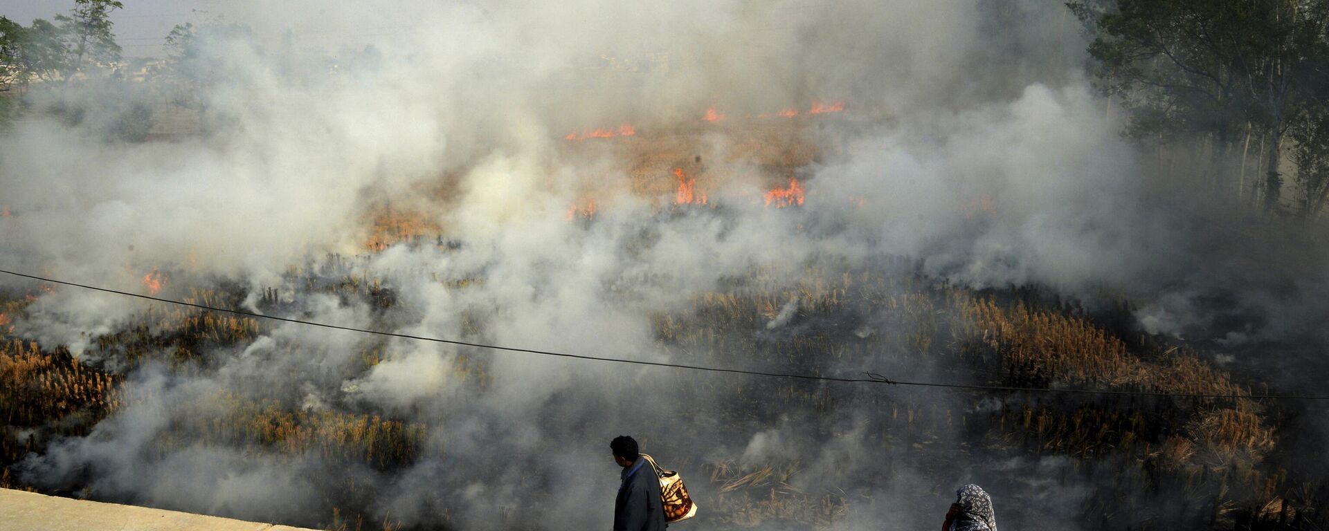 A couple walks past crop stubble set on fire by farmers on the out skirts of Jalandhar, in the northern Indian state of Punjab, Wednesday, Nov. 17, 2021. - Sputnik India, 1920, 07.11.2023