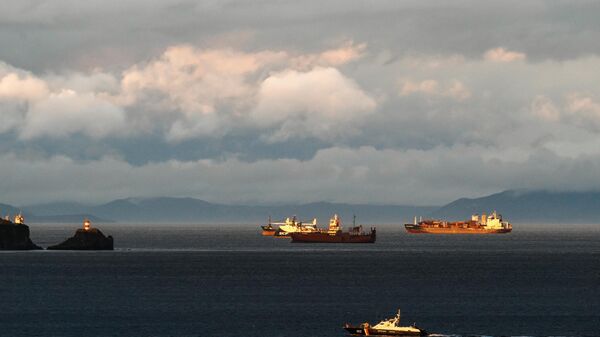 Ships in the vicinity of Vladivostok - Sputnik भारत