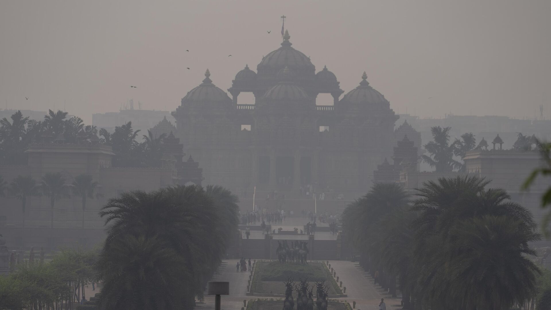 a thick smog in New Delhi - Sputnik India, 1920, 13.11.2023