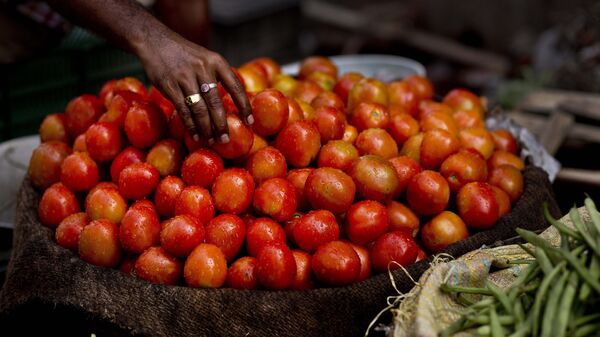 tomatoes - Sputnik India