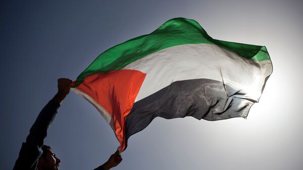 A Palestinian demonstrator waves a Palestinian flag. - Sputnik भारत