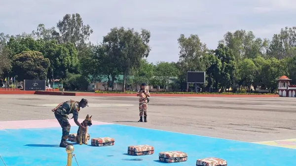 Wildlife sniffer dog squads training with their handlers. - Sputnik भारत