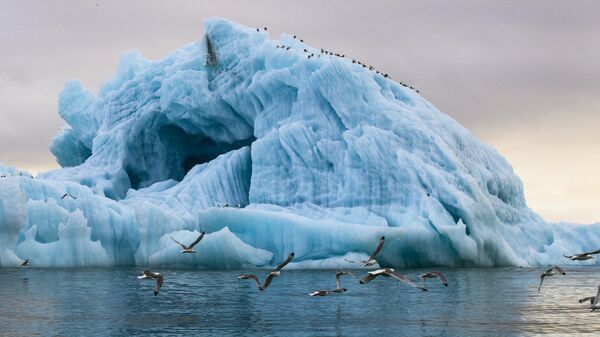 An iceberg in the Tikhaya Bay, Hooker Island, Franz Josef Land archipelago - Sputnik India