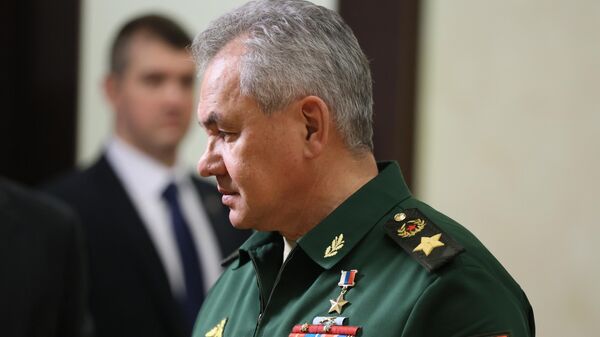 Russian Defence Minister Sergey Shoigu - Sputnik India