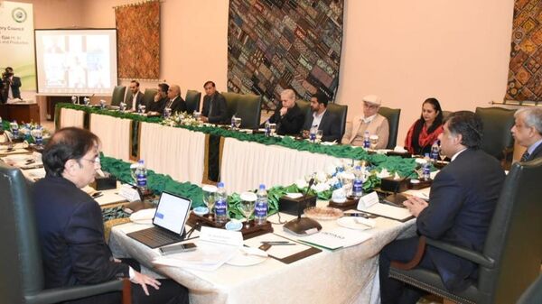 Industrial Advisory Council (IAC) meet in Islamabad - Sputnik India
