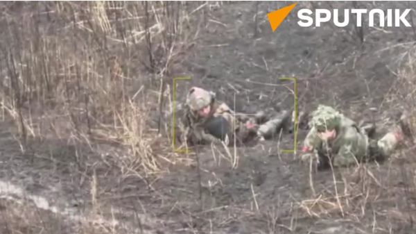 Russian airborne assault troops hammer Ukrainian army  - Sputnik भारत