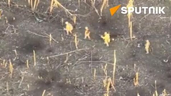Assault units of the Russian Airborne Forces destroyed Ukrainian fighters - Sputnik भारत