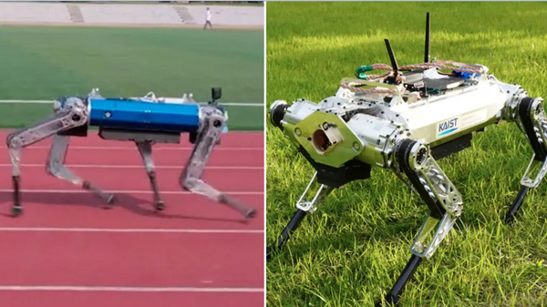 Robo-Dog 'Hound' Sets Guinness Record for Fastest Four-Legged Robot Sprinter - Sputnik India
