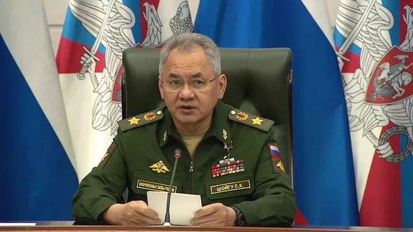Russian Defense Minister Sergei Shoigu  - Sputnik भारत