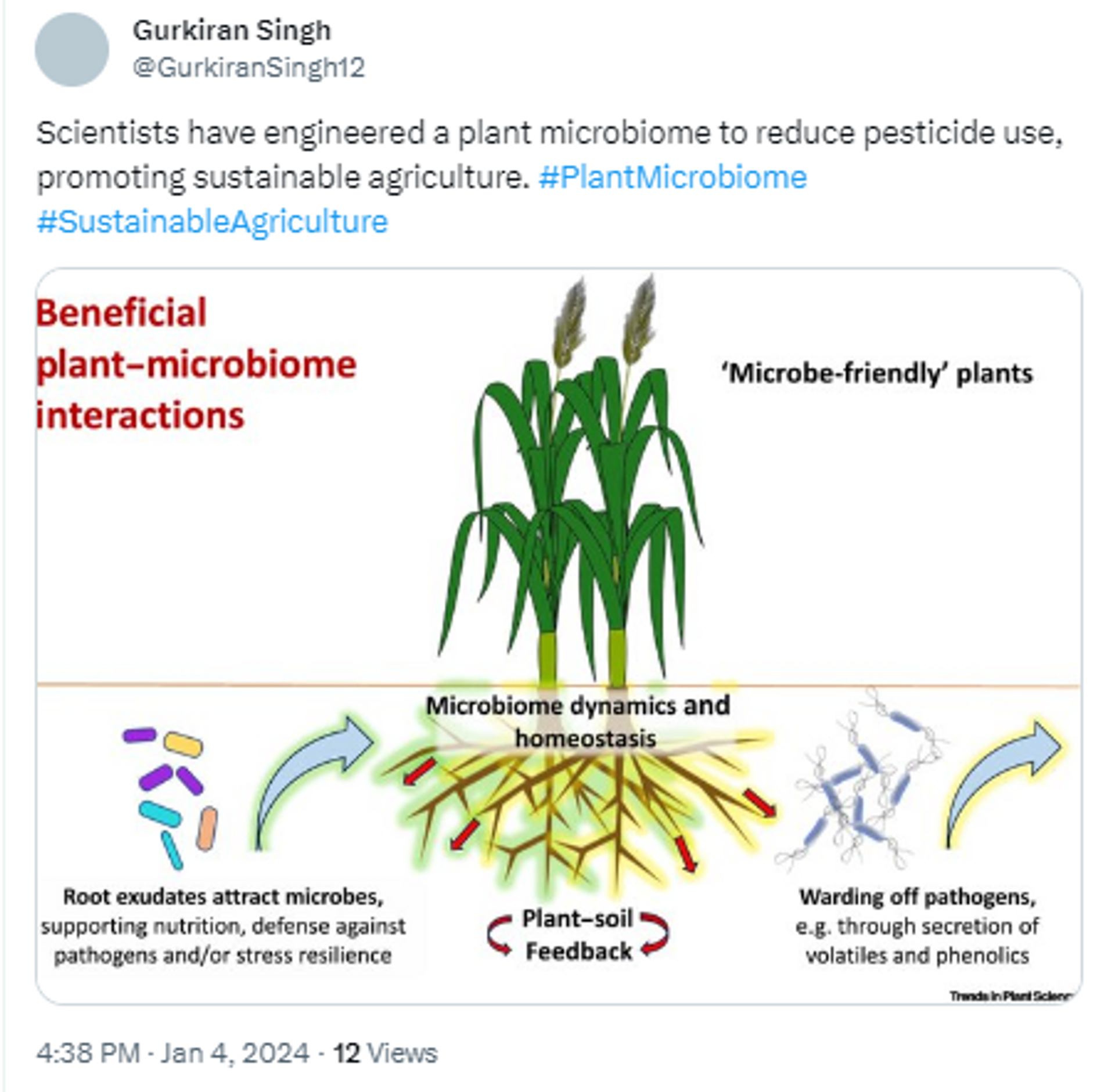 Scientists Develop Plant Microbiome to Drastically Reduce Pesticide Use - Sputnik India, 1920, 05.01.2024