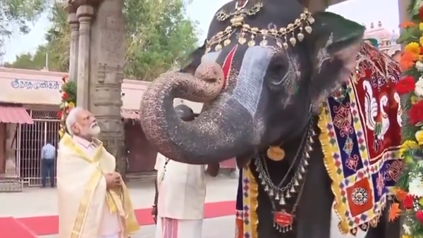 Elephant played mouth organ in Tamil Nadu temple, blessed Prime Minister Modi - Sputnik भारत