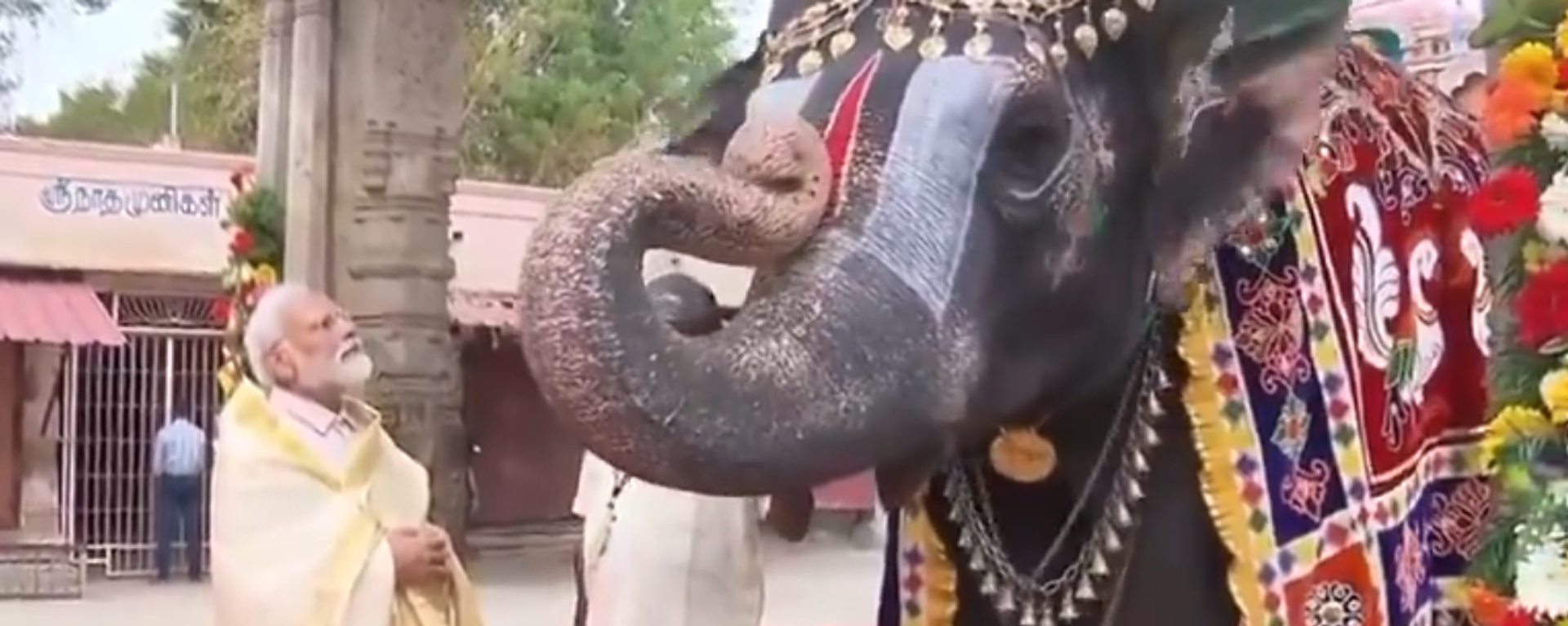 Elephant played mouth organ in Tamil Nadu temple, blessed Prime Minister Modi - Sputnik भारत, 1920, 20.01.2024