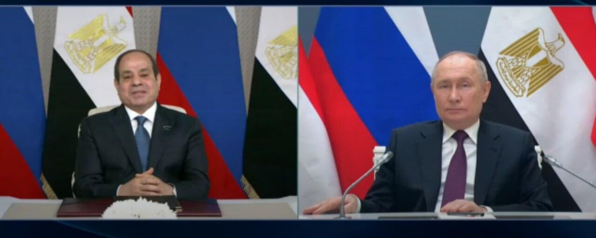 Russian President Vladimir Putin and Egyptian President Abdel Fattah Sisi launched the construction of the fourth power unit of the Dabaa nuclear power plant (NPP) in Egypt via videoconference. - Sputnik India, 1920, 23.01.2024