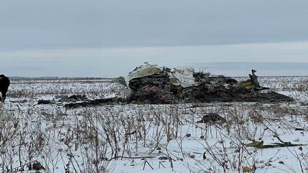 Место падения самолета Ил-76 в Белгородской области - Sputnik भारत
