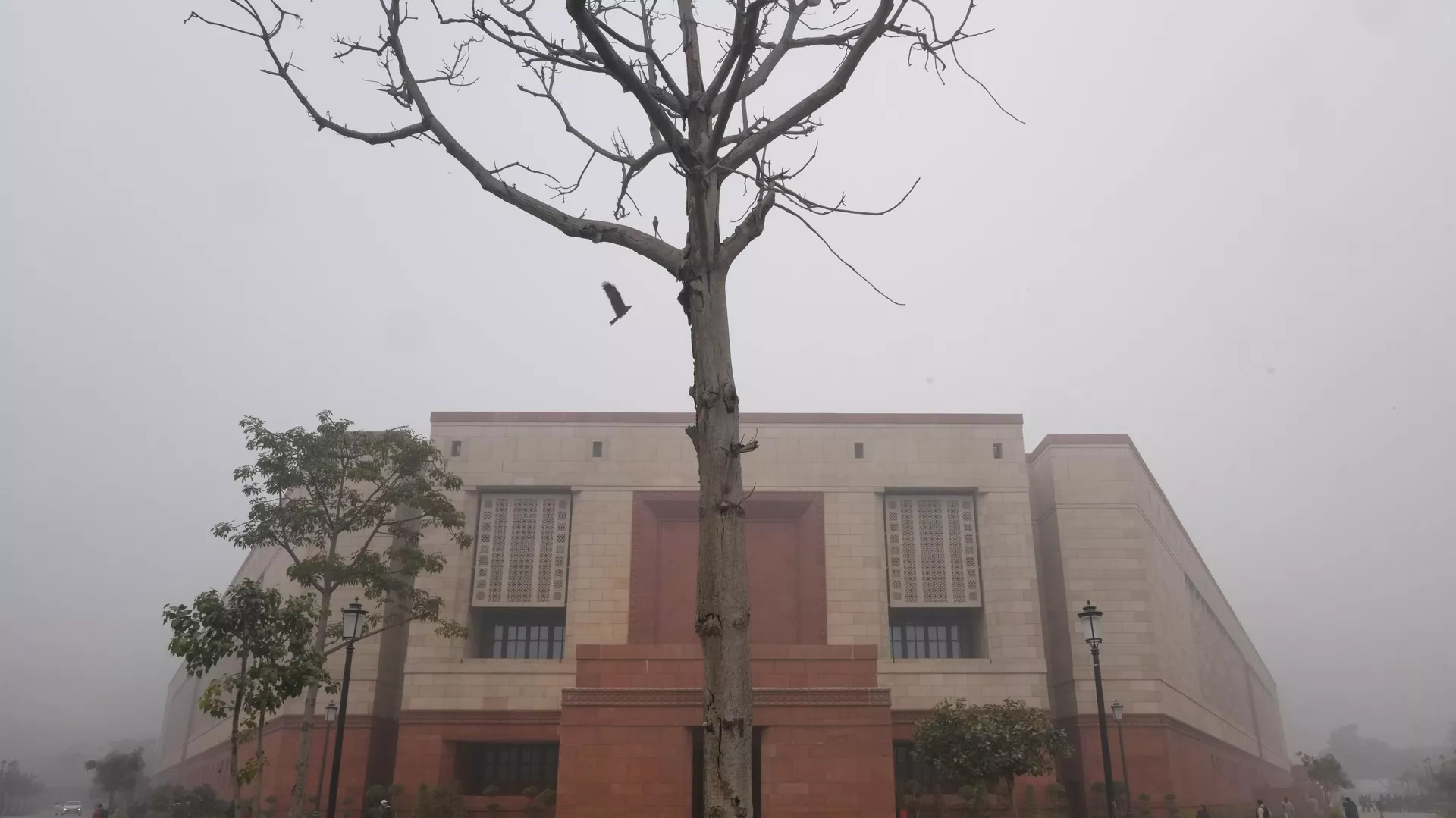 A bird flies towards a tree near the new Parliament building, in the morning fog on the first day of its budget session in New Delhi, India, Wednesday, Jan.31, 2024.