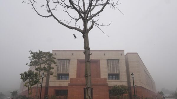 A bird flies towards a tree near the new Parliament building, in the morning fog on the first day of its budget session in New Delhi, India, Wednesday, Jan.31, 2024. - Sputnik भारत