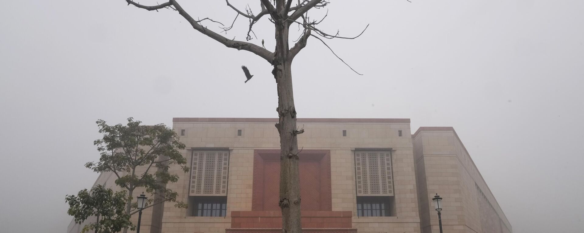 A bird flies towards a tree near the new Parliament building, in the morning fog on the first day of its budget session in New Delhi, India, Wednesday, Jan.31, 2024. - Sputnik भारत, 1920, 08.02.2024