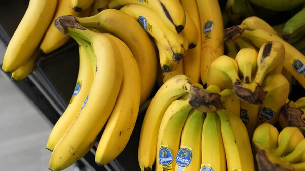 Bananas are displayed at the Fresh Start Food Hub & Market, Thursday, June 15, 2023. - Sputnik भारत