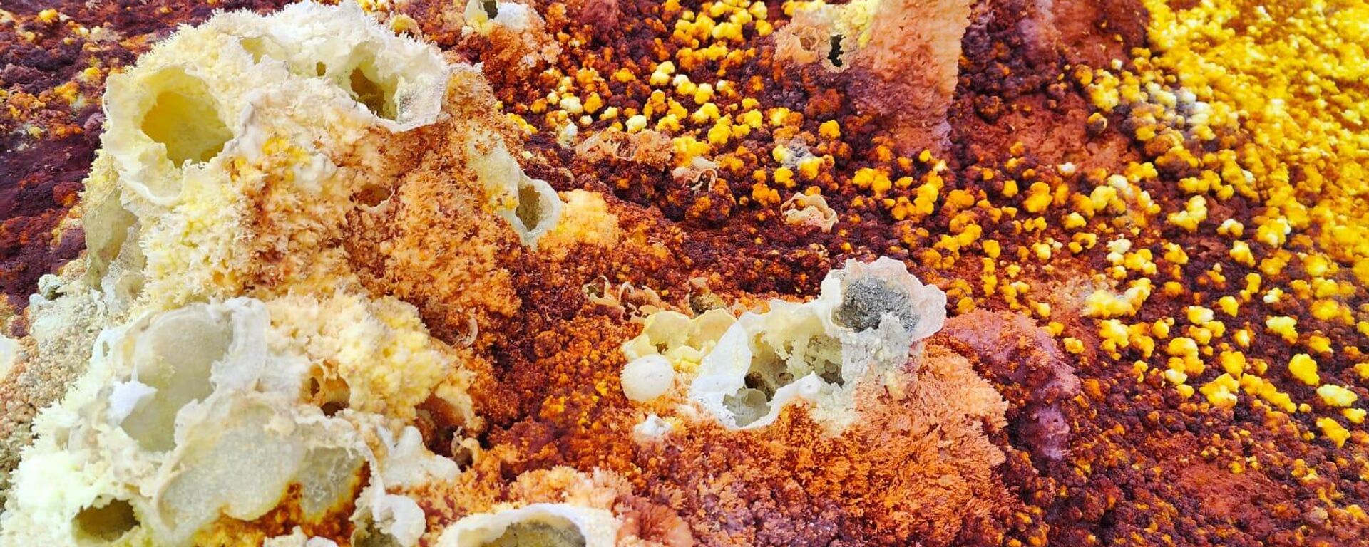 Indian Climbers Make Surprising Discovery of Rare Bacteria Samples in Ethiopia - Sputnik भारत, 1920, 04.02.2026