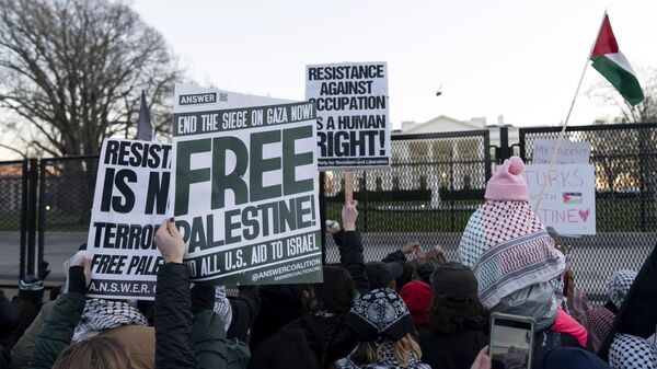 Demonstrators rally during the March on Washington for Gaza near the White House in Washington, Saturday, Jan. 13, 2024 - Sputnik India