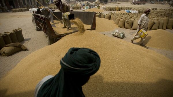 Pakistani laborers unload a truck of wheat in a grain shop on the outskirts of Lahore, Pakistan. - Sputnik India