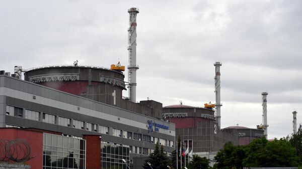 A photo shows a view of the Zaporozhye nuclear power plant on June 14, 2023. - Sputnik भारत