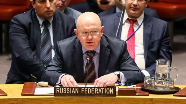 Russia's Permanent Representative to the UN Vasily Nebenzya said during a United Nations Security Council meeting, New York - Sputnik भारत